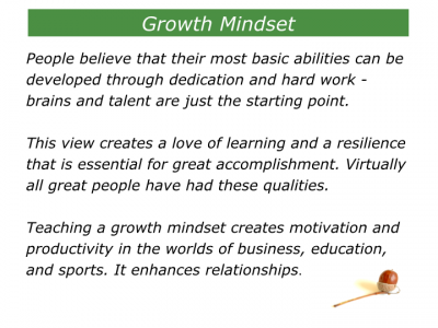 carol dweck defines the cognitive view individuals develop for themselves as