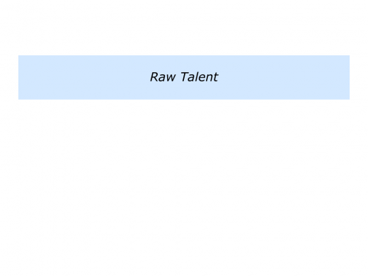Slides Raw Talent.004