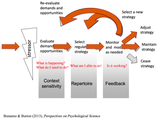 context-sensitivity